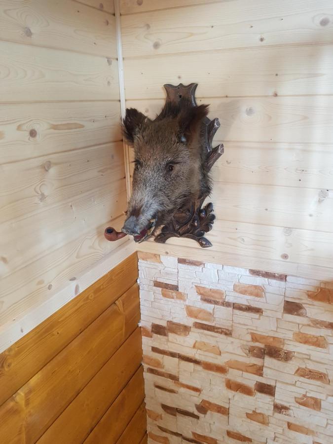 Gniewnik Villa Pcim Eksteriør bilde