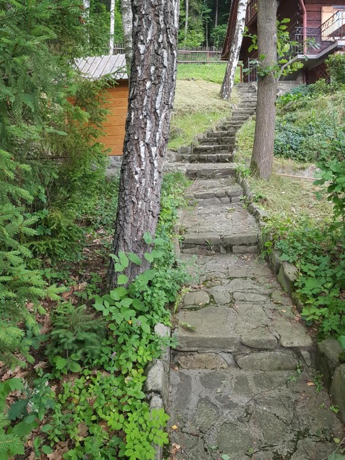 Gniewnik Villa Pcim Eksteriør bilde